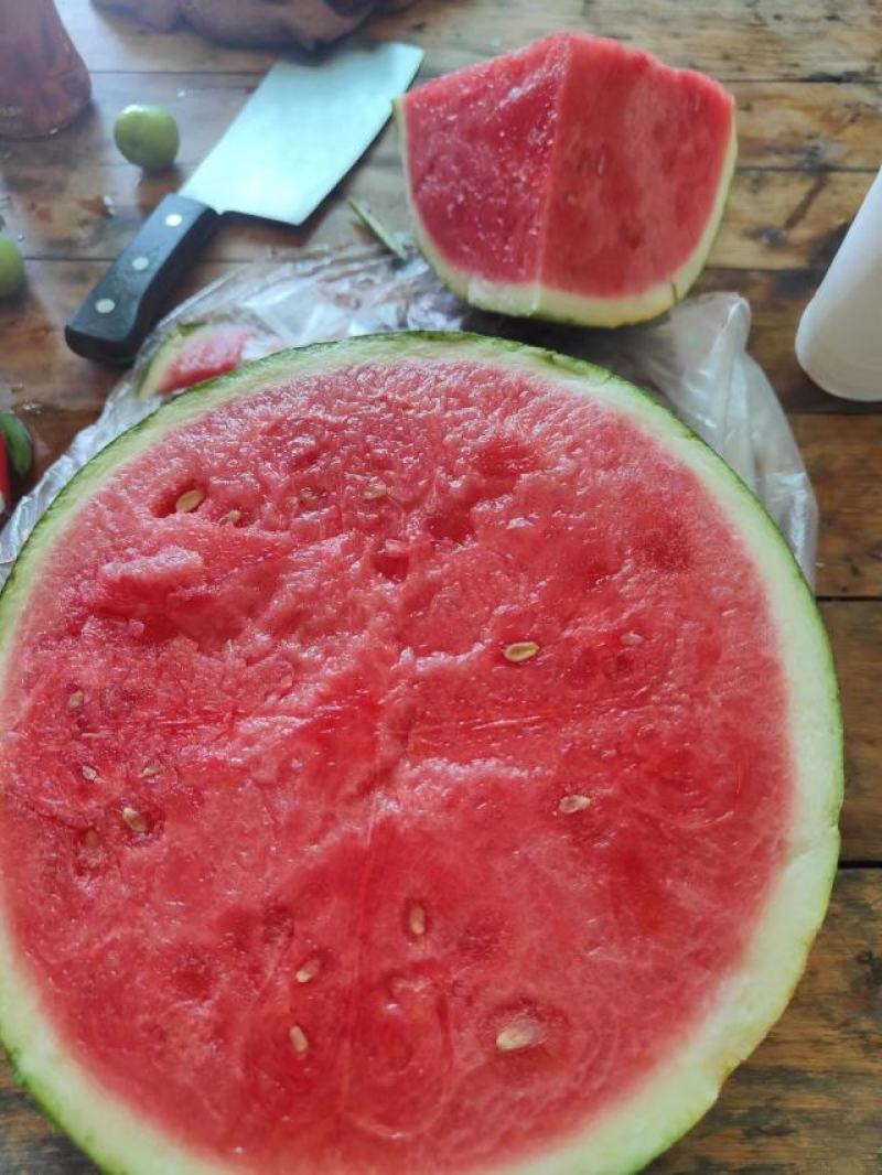 精品美都麒麟瓜产地直发长期发货诚信供应保质保量一手货源