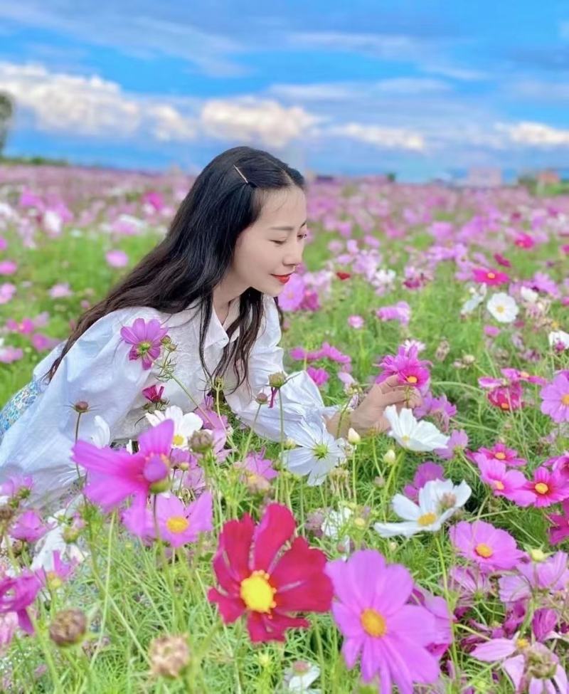 波斯菊花种子格桑花种籽子七彩四季开花易活花籽庭院野花组合