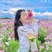 波斯菊花种子格桑花种籽子七彩四季开花易活花籽庭院野花组合