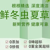 一年一度鲜草，专做0.91.0规格，不大不小，营养刚刚好