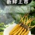 一年一度鲜草，专做0.91.0规格，不大不小，营养刚刚好