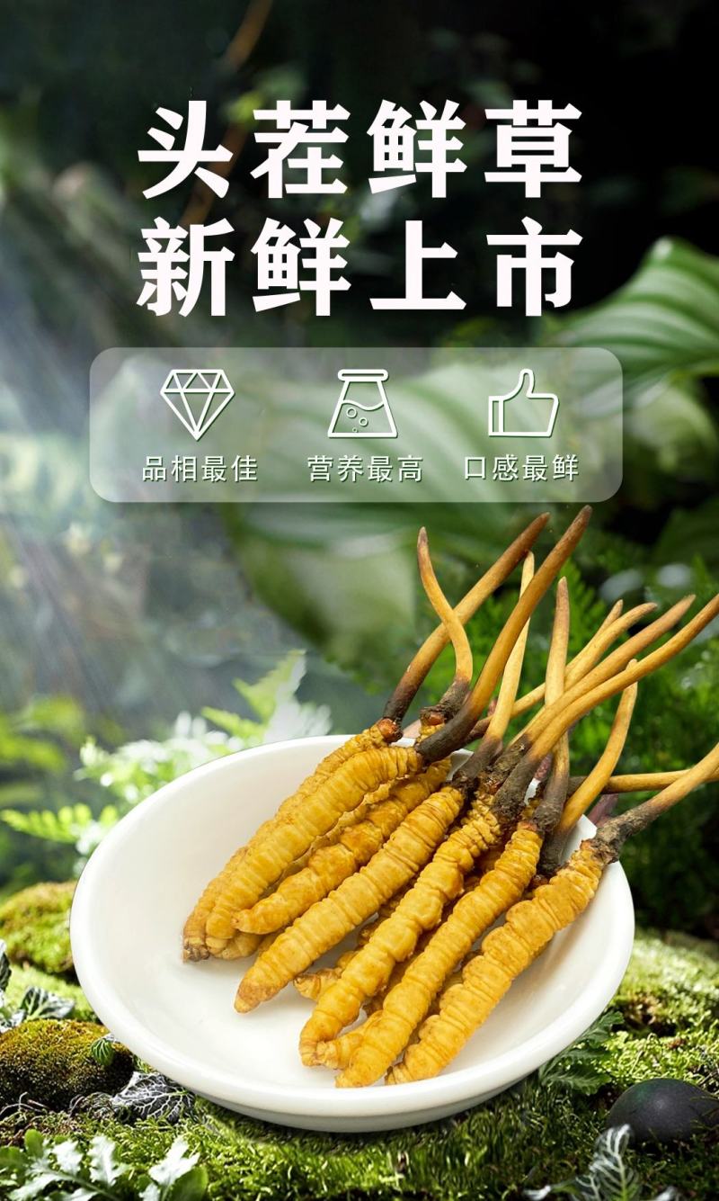 一年一度鲜草，专做0.91.0规格，不大不小，营养刚刚好