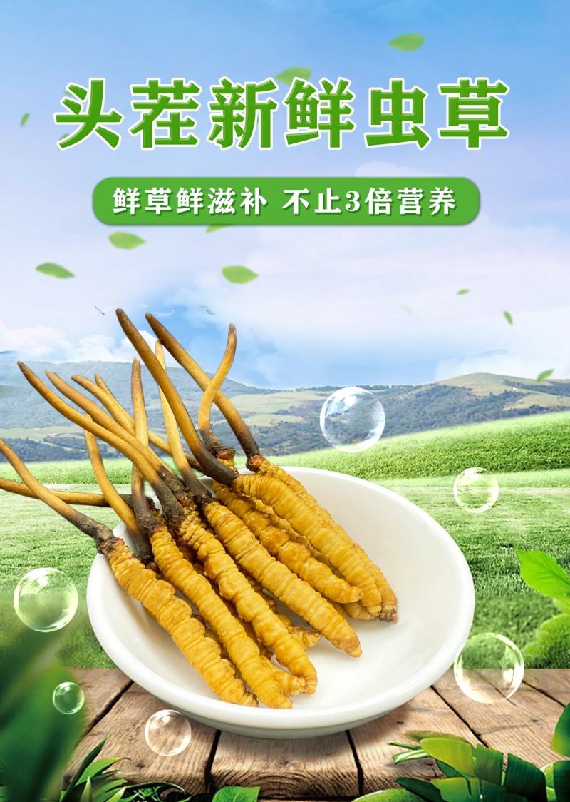 一年一度鲜草，专做0.91.0规格，不大不小，营养刚刚好