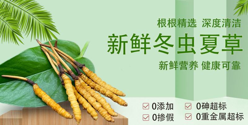 一年一度鲜草，专做0.91.0规格，不大不小，营养刚刚好