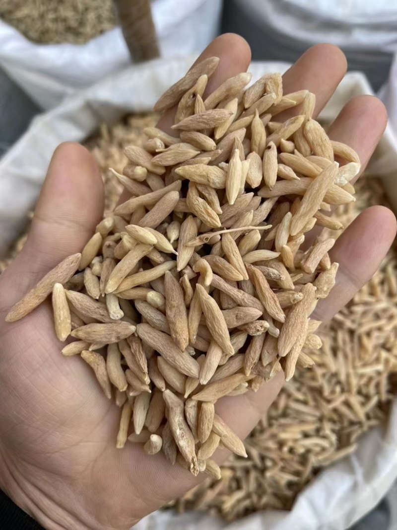 无硫麦冬规格新货四川农家特产煲汤食材料野生好吃泡水麦冬茶