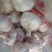 邳州精品大蒜，各种规格都有。皮厚肉嘎嘎香，汁多，全国发货