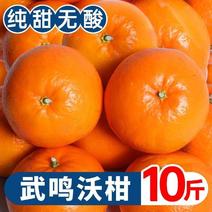广西武鸣茂谷柑新鲜大果脏脏柑当季水果5/10斤整箱柑沃柑