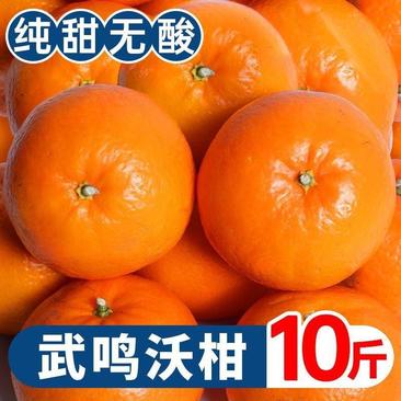 广西武鸣茂谷柑新鲜大果脏脏柑当季水果5/10斤整箱柑沃柑