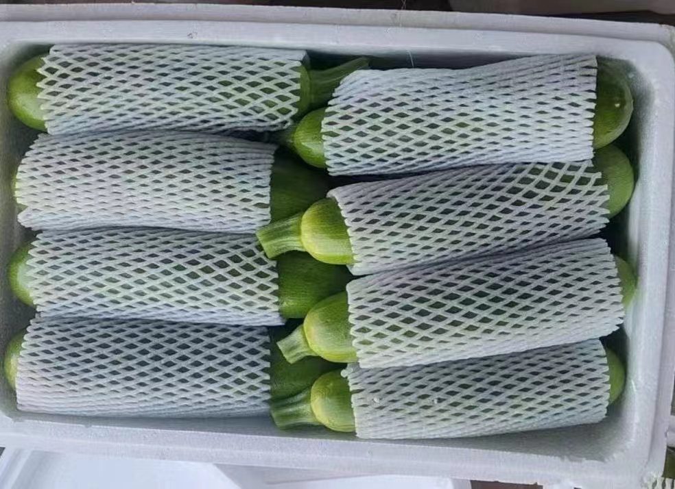 西葫芦冷冻处理过程