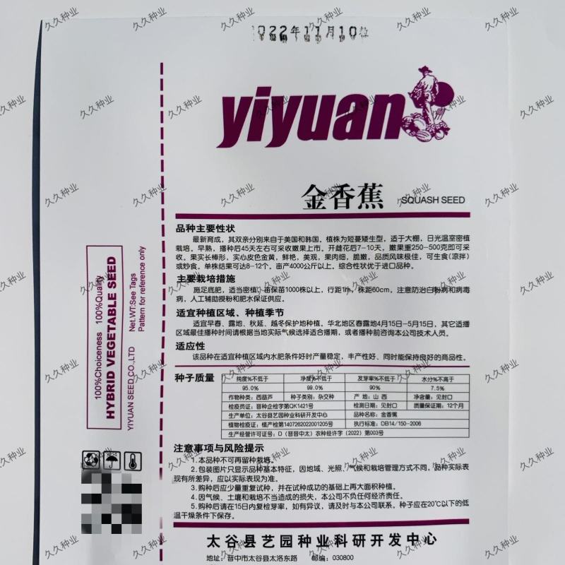 金香蕉水果型西葫芦种子黄色盆栽种籽特色秋季四季农家蔬菜孑