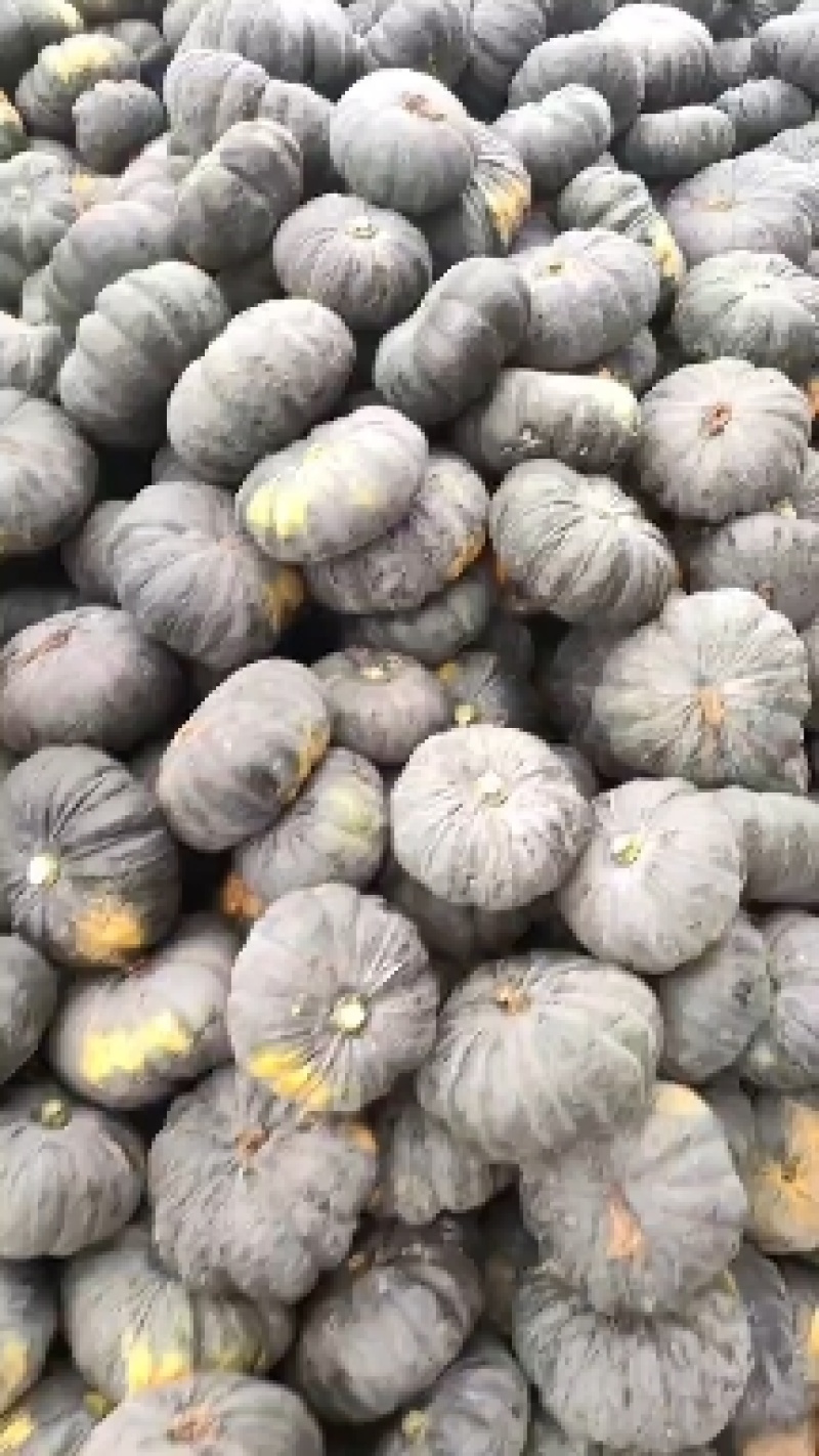 赖可丽