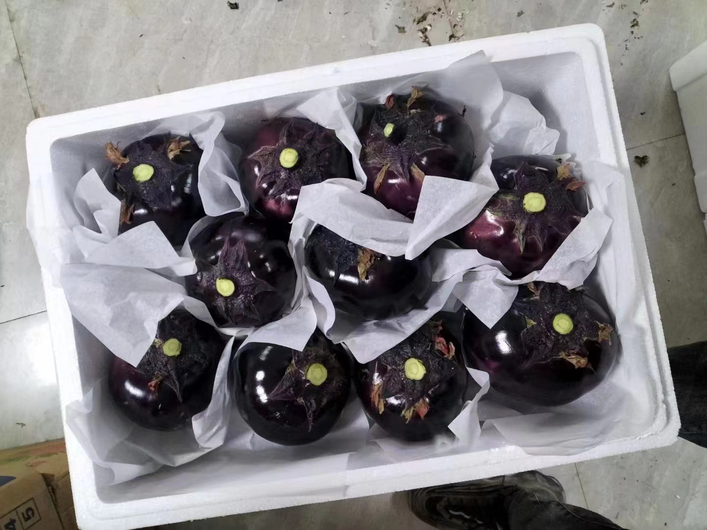现代化食品工厂展示台:左侧为真空锁鲜装圆紫茄丁(透明立式袋,茄丁呈均匀骰子状,色泽紫亮);中为冻干圆紫茄脆片(浅紫色薄片,铺于白色瓷盘);右侧为玻璃瓶装低盐圆紫茄酱(深紫褐色,表面浮少量橄榄油,标签印有‘0添加防腐剂’字样) 圆紫茄子深加工产品矩阵图