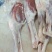 羊腿、中式后腿、法式羊腿，内蒙草地羊肉大，瘦肉多