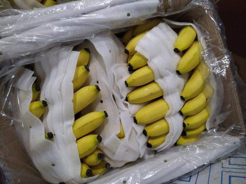 香蕉大量出货，大黄，二黄，生蕉都有，软糯香甜，量大从优！