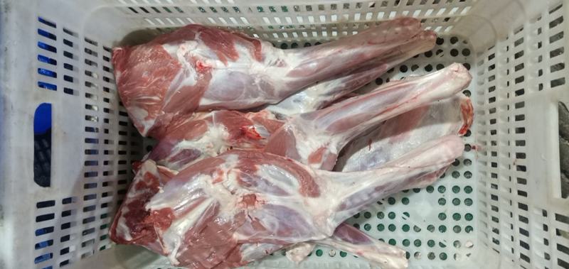 羊腿、中式后腿、法式羊腿，内蒙草地羊肉大，瘦肉多