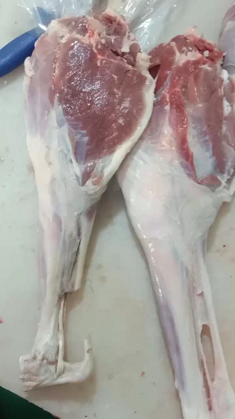 羊腿、中式后腿、法式羊腿，内蒙草地羊肉大，瘦肉多