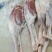 羊腿、中式后腿、法式羊腿，内蒙草地羊肉大，瘦肉多