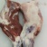 羊腿、中式后腿、法式羊腿，内蒙草地羊肉大，瘦肉多