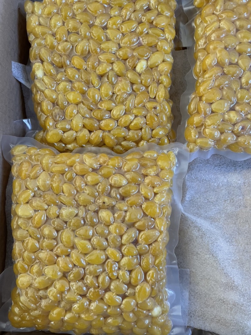 烘干白果仁食品烘干白果仁中药材烘干白果仁颗粒饱满圆润