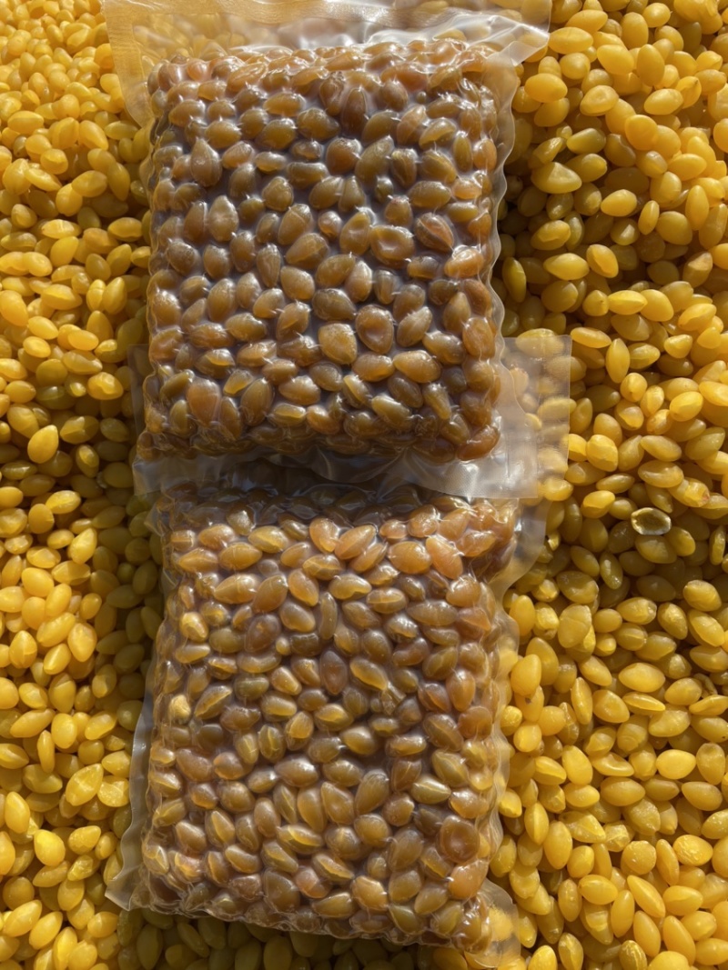 烘干白果仁食品烘干白果仁中药材烘干白果仁颗粒饱满圆润