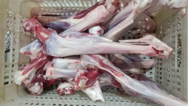 前棒、羊棒、棒骨、羊小腿，内蒙羔羊产品，大小分类。