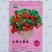 盆栽小番茄种子小西红柿圣女果农家阳台水果蔬菜种子孑