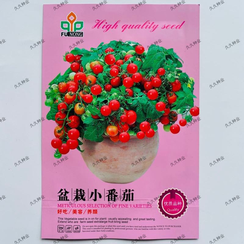 盆栽小番茄种子小西红柿圣女果农家阳台水果蔬菜种子孑