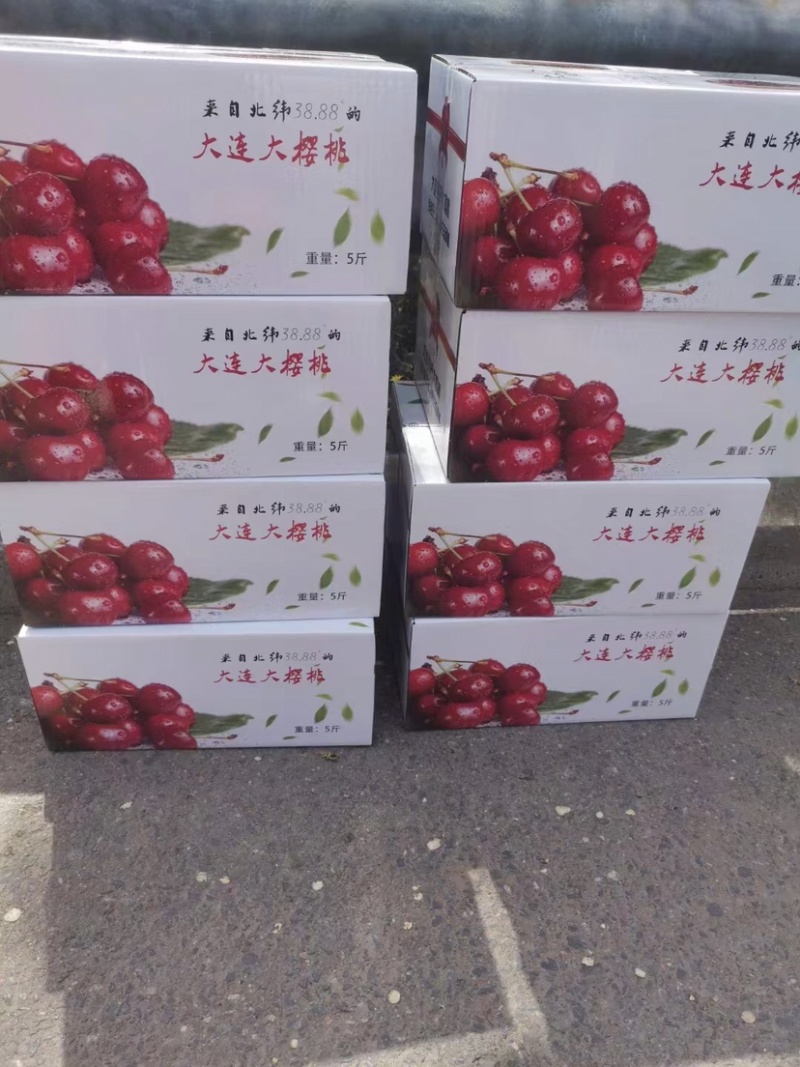 大连美早上市