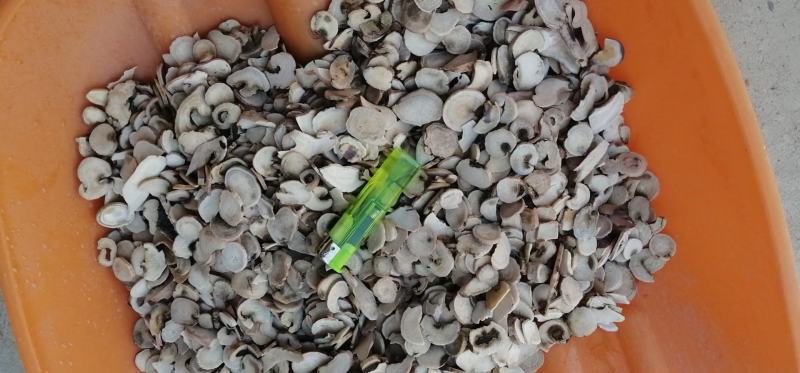 四川白芍生白芍白芍片可磨粉可按方抓药一件代发