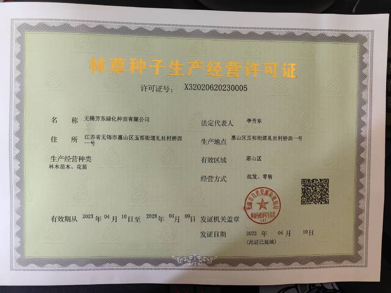 海枣海枣种子加拿利海枣树种子耐热易播种景区绿化南方品种