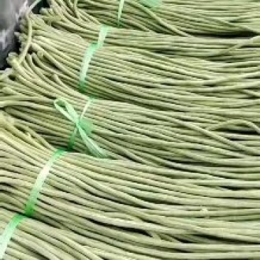 大棚精品长豆角