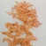 鳞虾，货源充足，供货稳定，欢迎大家加入我们