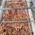 鸡肠饲料鸡肠养殖可用对接渔场品质保证欢迎电联
