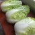 黄心菜，金菲翠，玲珑黄，阳春，美春等一级货净菜毛菜
