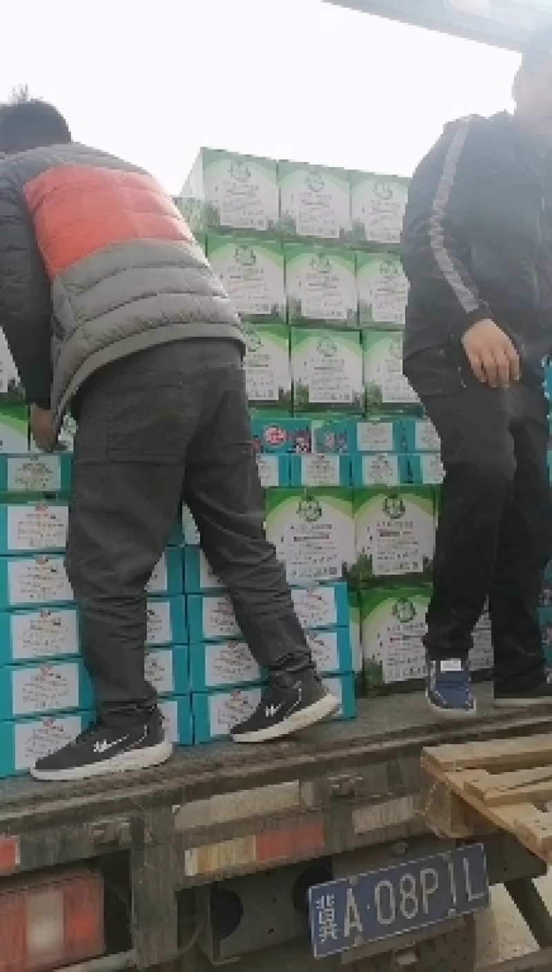 花露水拖地清洁液驱蚊家用宾馆地板去污神器清香型防蚊祛异味