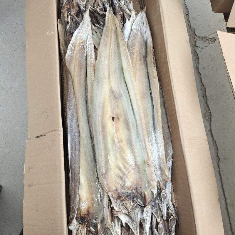 鳗鱼干滨州鱼干淡干微咸鳗鱼自然晾干大量批发一件代发