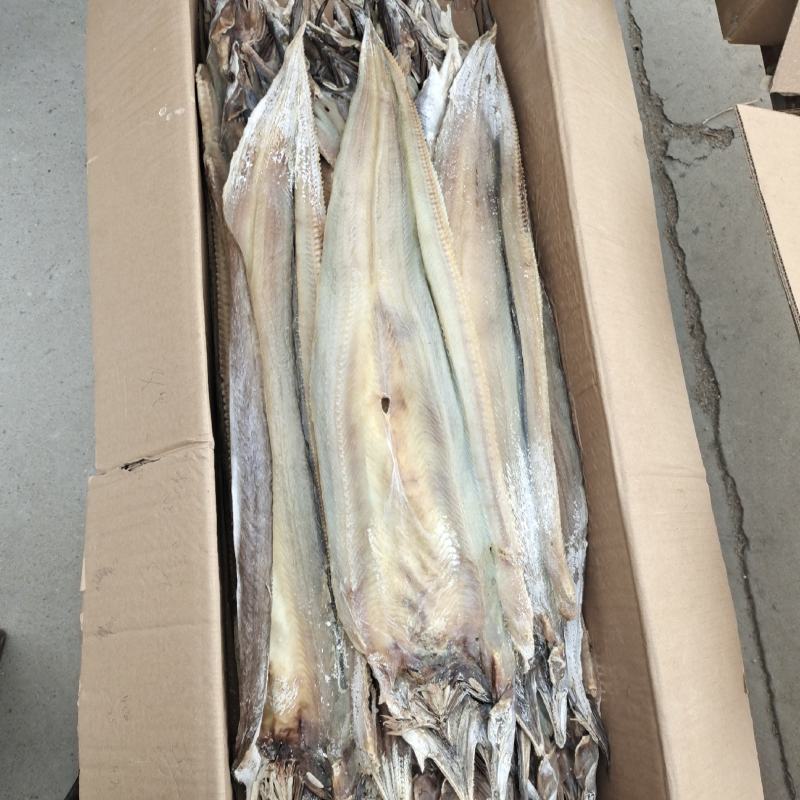 鳗鱼干滨州鱼干淡干微咸鳗鱼干自然晾干量大从优