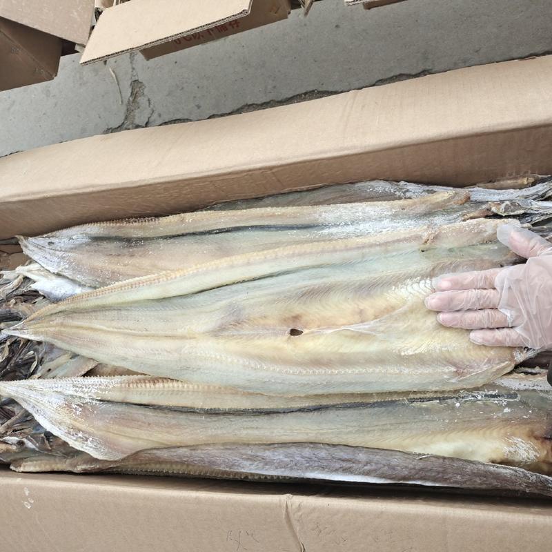 鳗鱼干滨州鱼干淡干微咸鳗鱼自然晾干大量批发一件代发