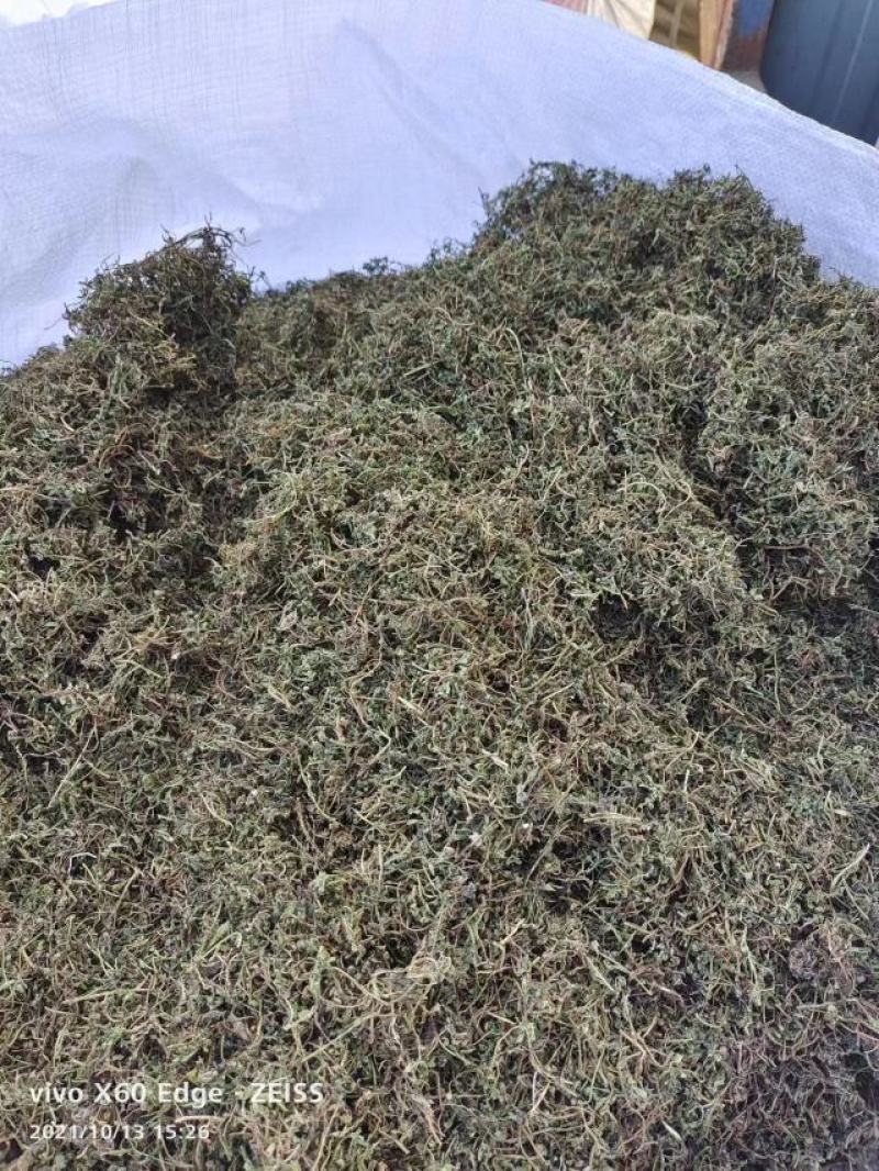 优质鹅不食草，干净去杂质，产地直供，规格齐全，保证质量