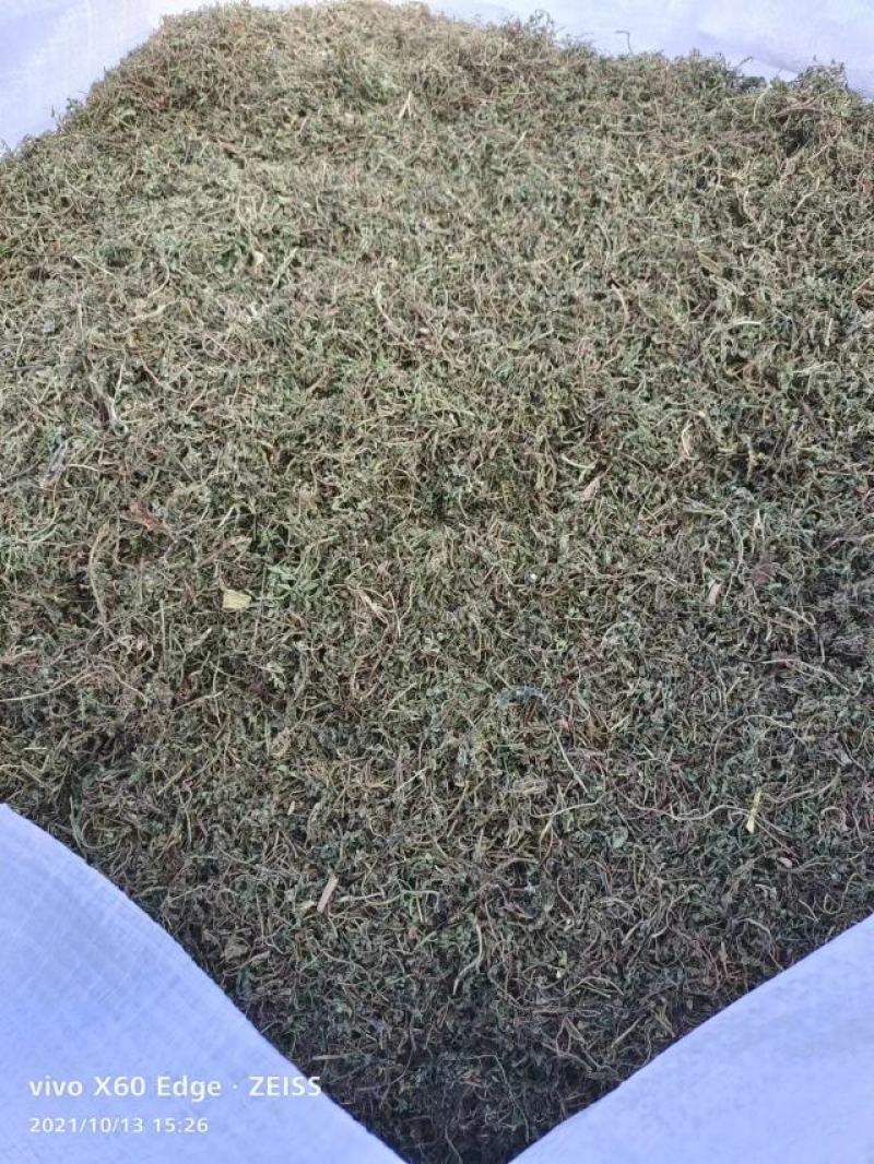 优质鹅不食草，干净去杂质，产地直供，规格齐全，保证质量