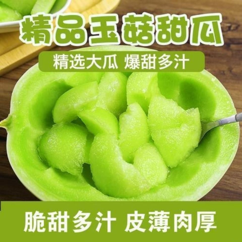 山东玉菇蜜瓜冰清玉姑冰淇淋甜瓜冰清玉菇代发代收