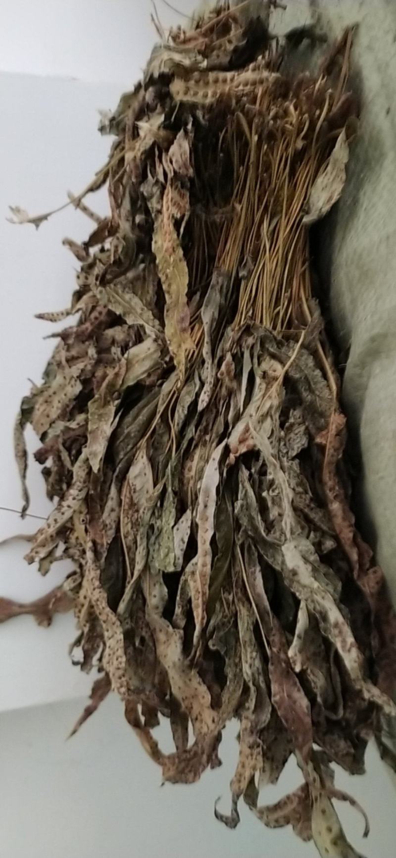贵州铜仁野生金鸡脚干货鸭脚草干品鸭跖草阴干金鸡爪无杂质