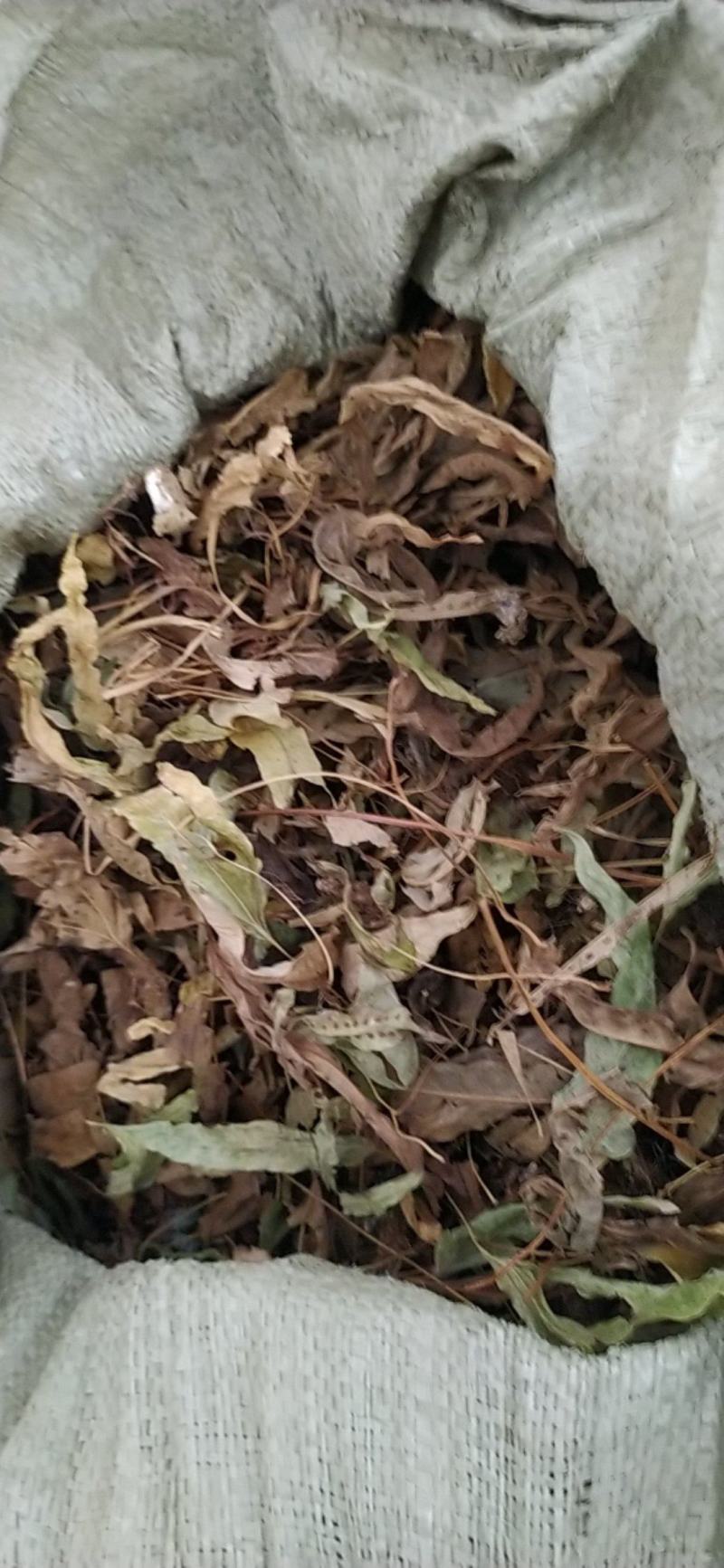 贵州铜仁野生金鸡脚干货鸭脚草干品鸭跖草阴干金鸡爪无杂质