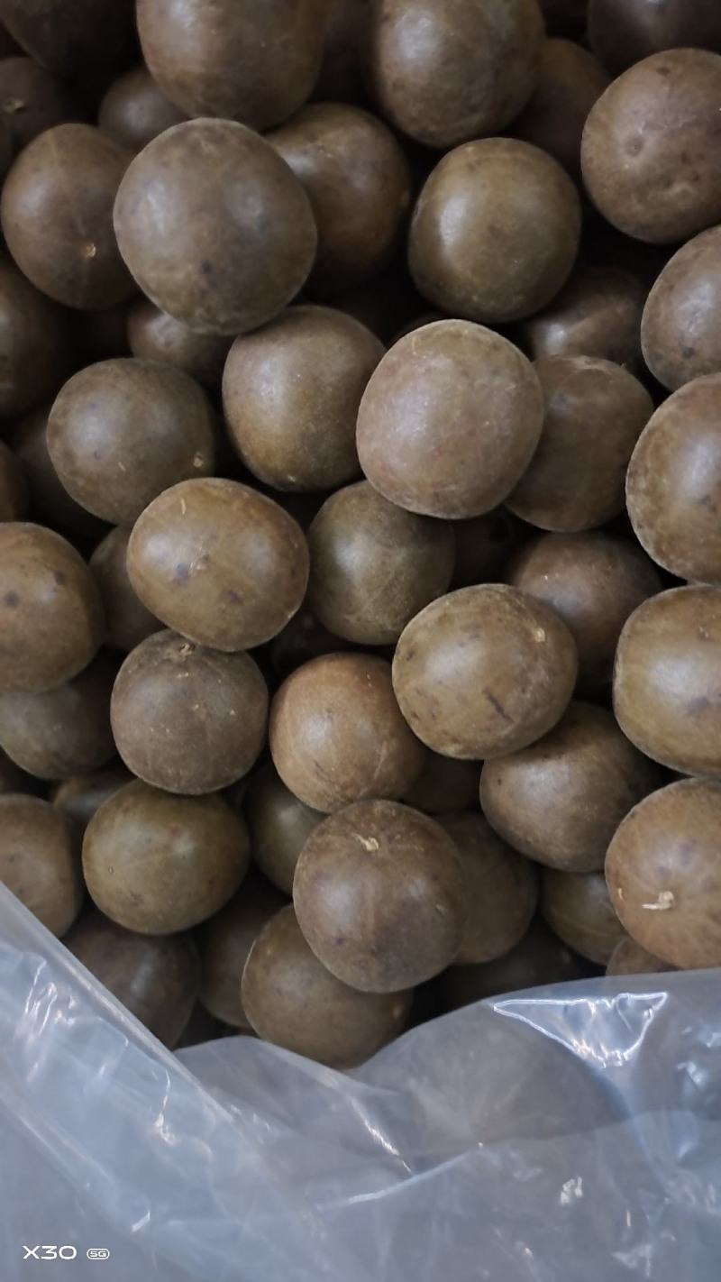 优选广西罗汉果大果中果小果外一果外二果欢迎联系