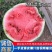 【精品84美都】产地直发果型正口感好诚信经营价优