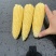 太阳花甜的玉米🌽，价钱公证透明。质量在这个季节很好了