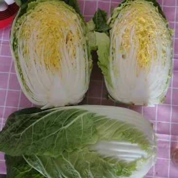白菜