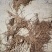 苍术野生苗子