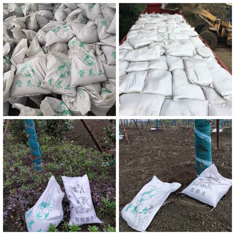 营养土厂家，绿化工程花卉绿植有机营养土。