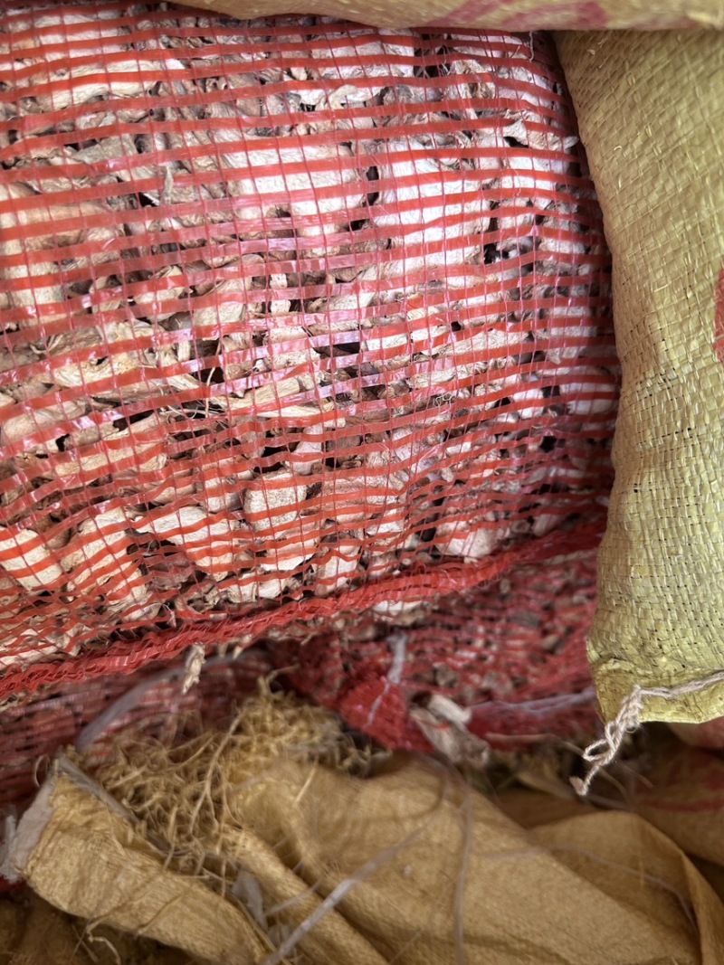 【牛商推荐】云南干姜片批发，无杂质一手货源欢迎实地考察